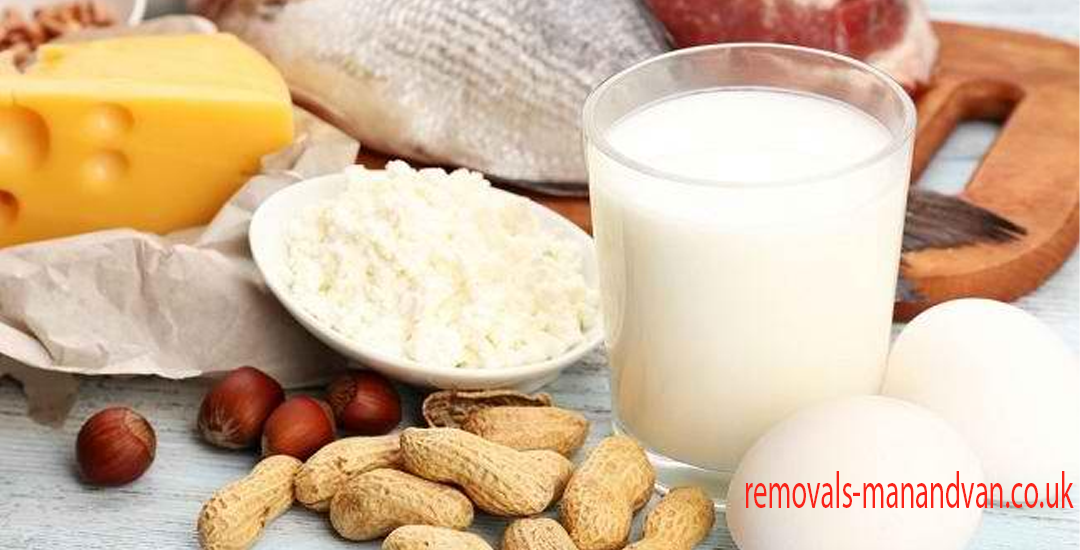 Protein Tinggi