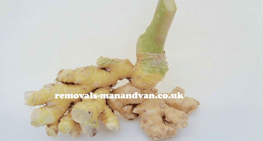 removals-manandvan.co