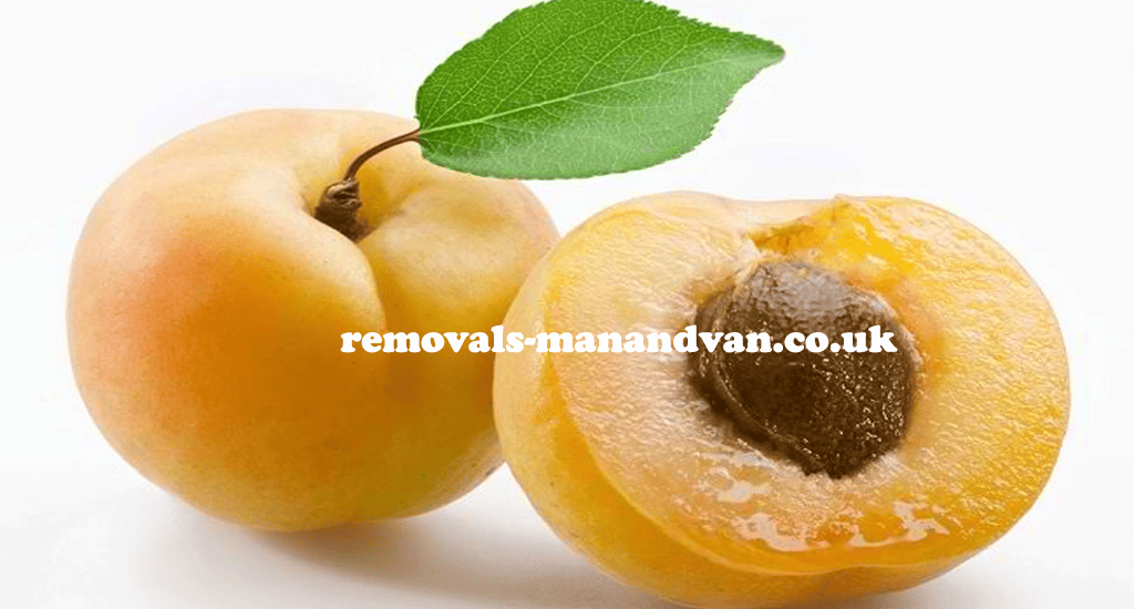 removals-manandvan.co