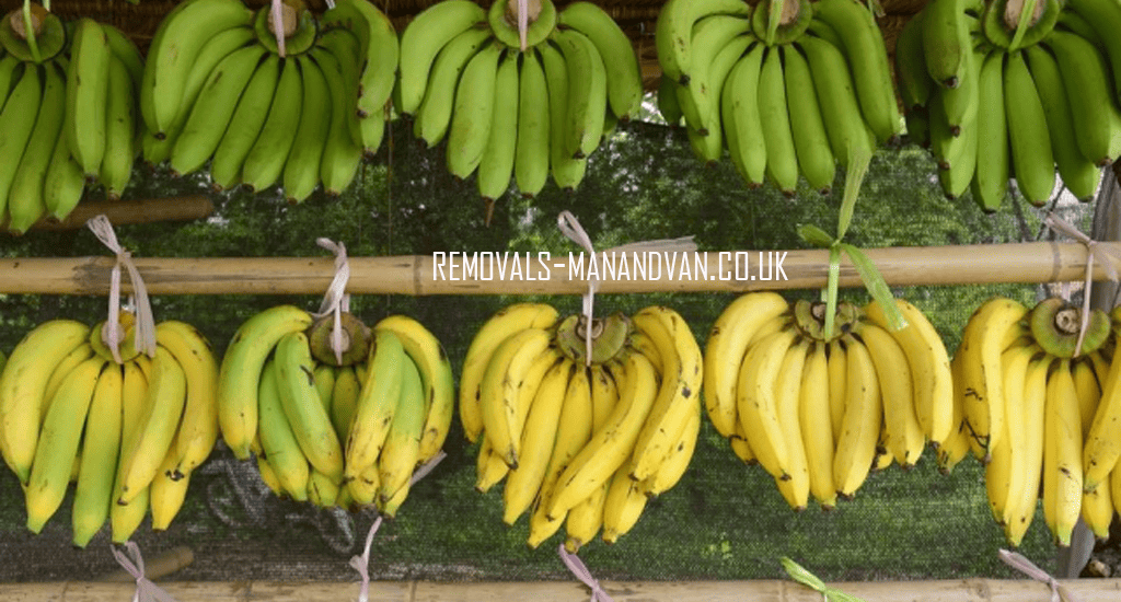 removals-manandvan.co.uk