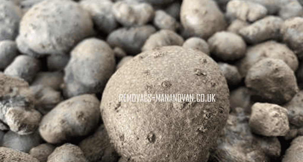 removals-manandvan.co.uk