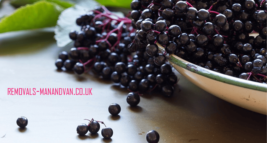 removals-manandvan.co.uk