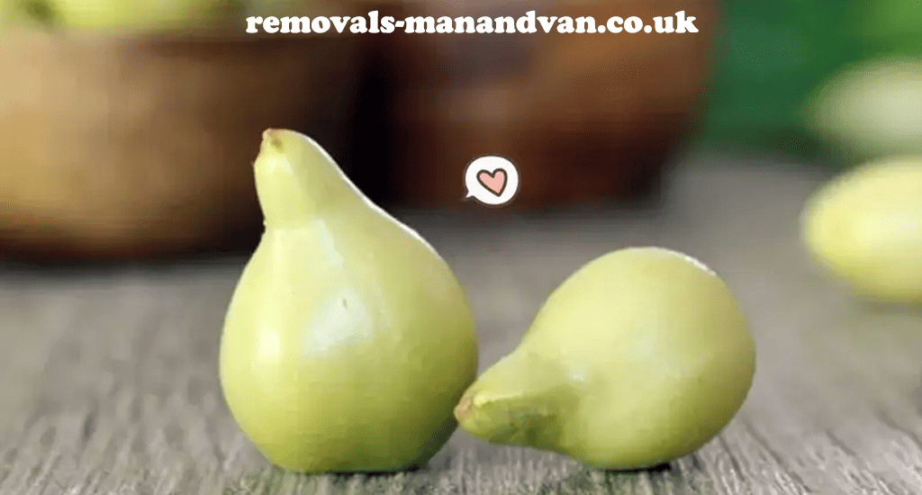 removals-manandvan.co