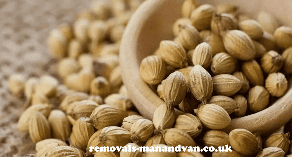 removals-manandvan.co