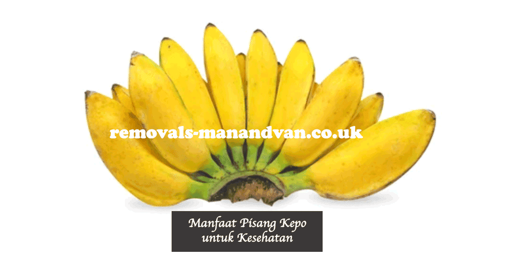 Manfaat Pisang Kepo untuk Kesehatan