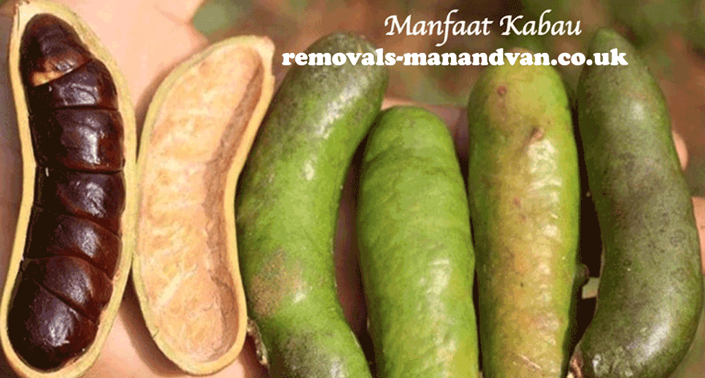 removals-manandvan.co
