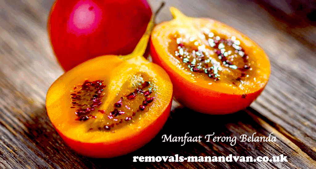 removals-manandvan.co