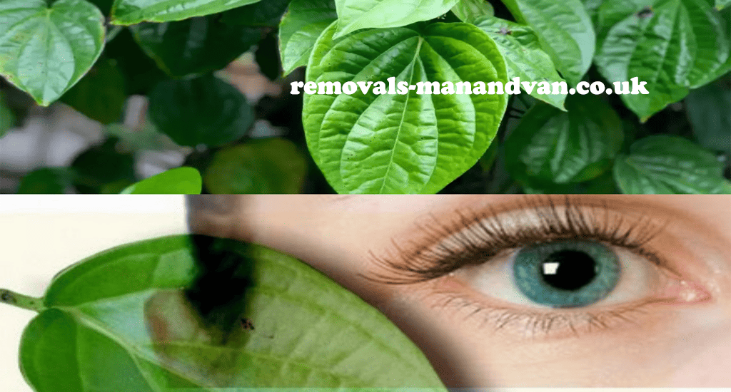 removals-manandvan.co