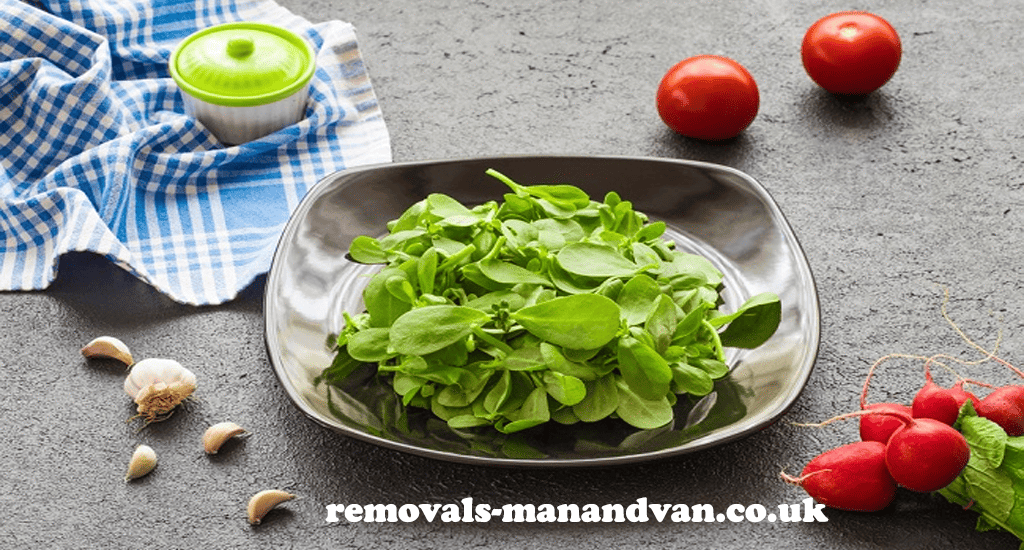 removals-manandvan.co