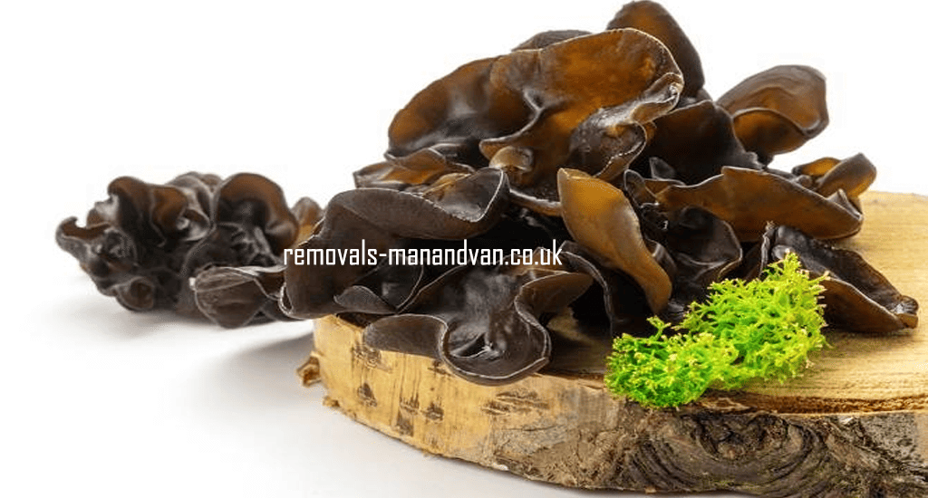 removals-manandvan.co