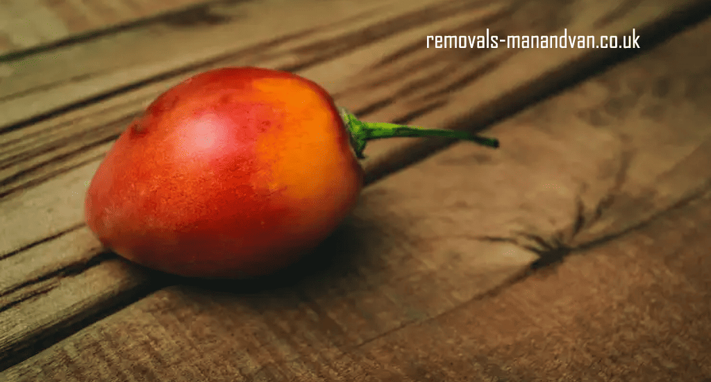 removals-manandvan.co