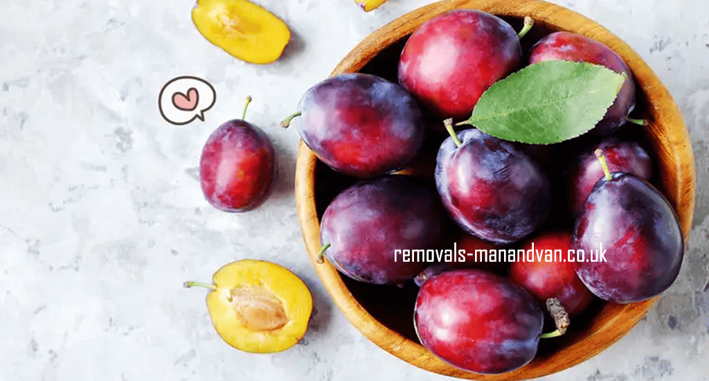 removals-manandvan.co