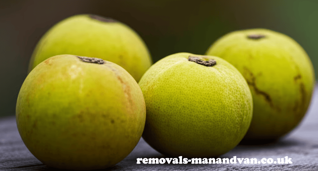 removals-manandvan.co