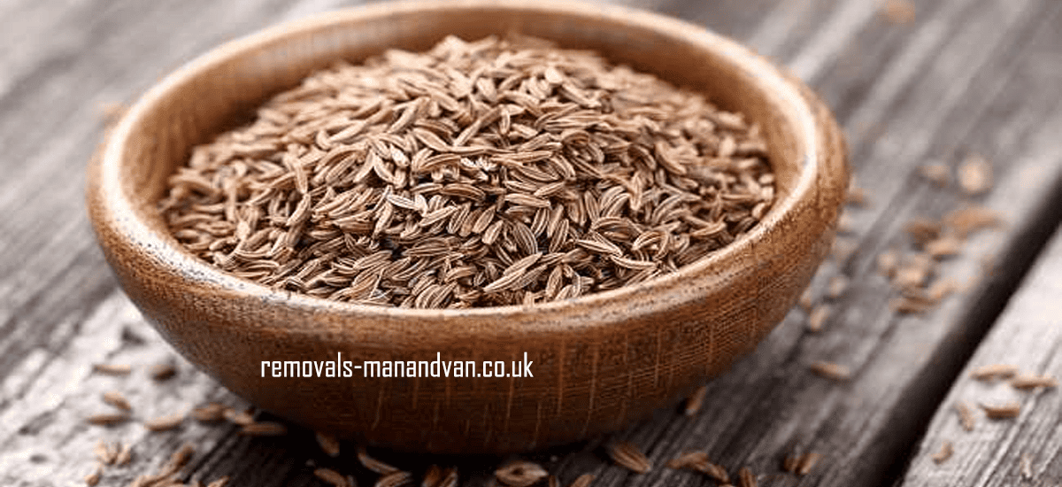 removals-manandvan.co