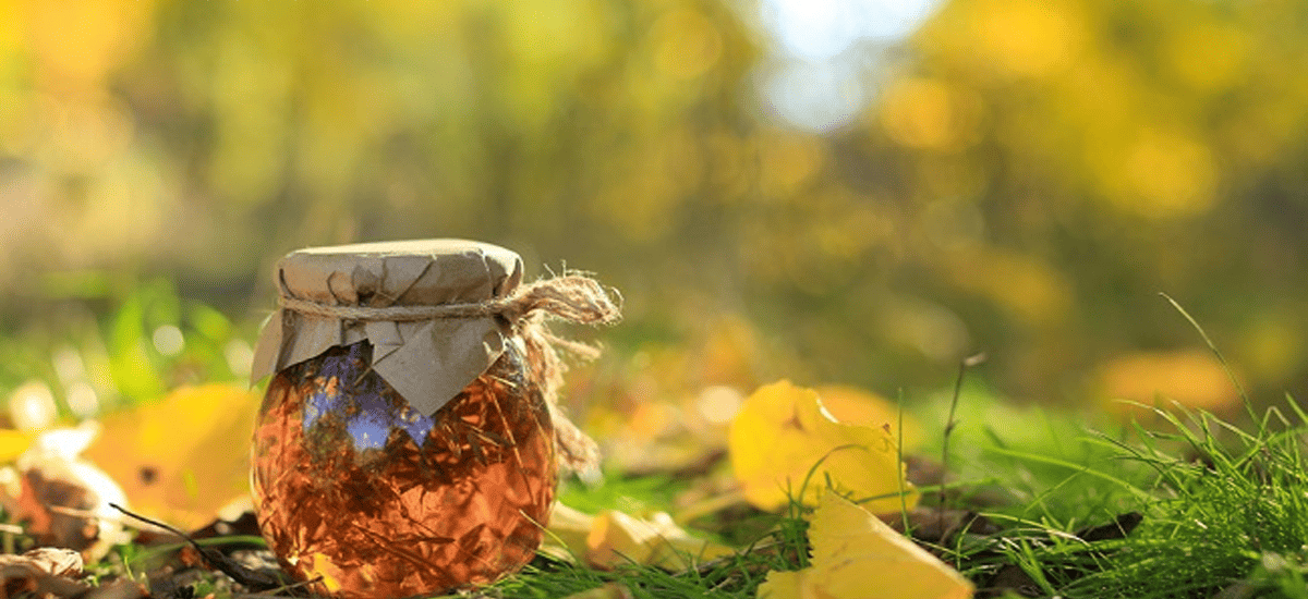 removals-manandvan.co