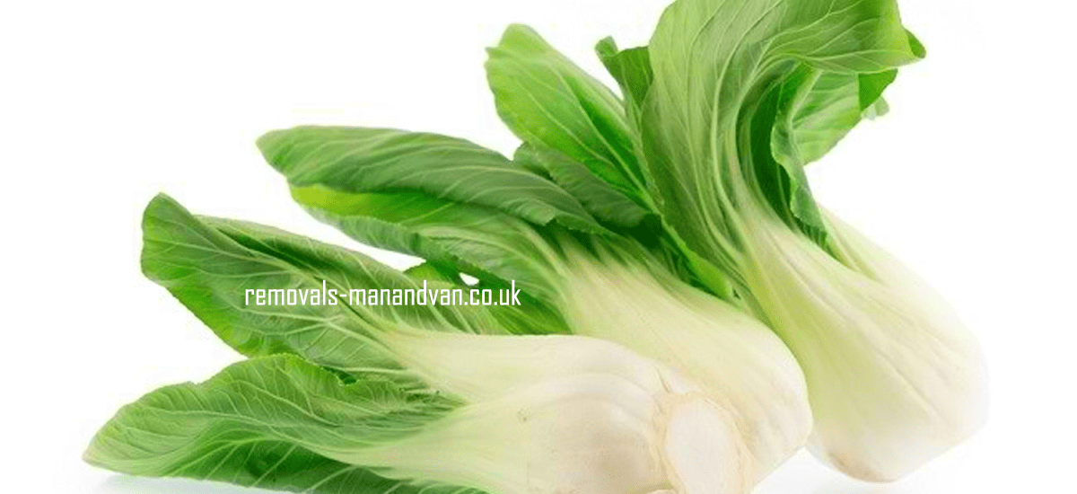 removals-manandvan.co