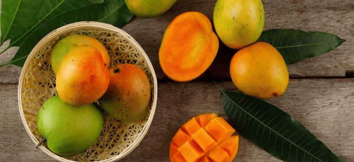 removals-manandvan.co