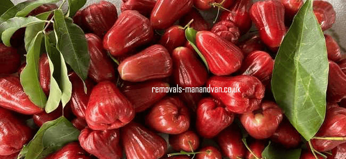 removals-manandvan.co