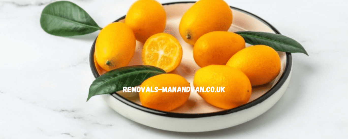 removals-manandvan.co.uk