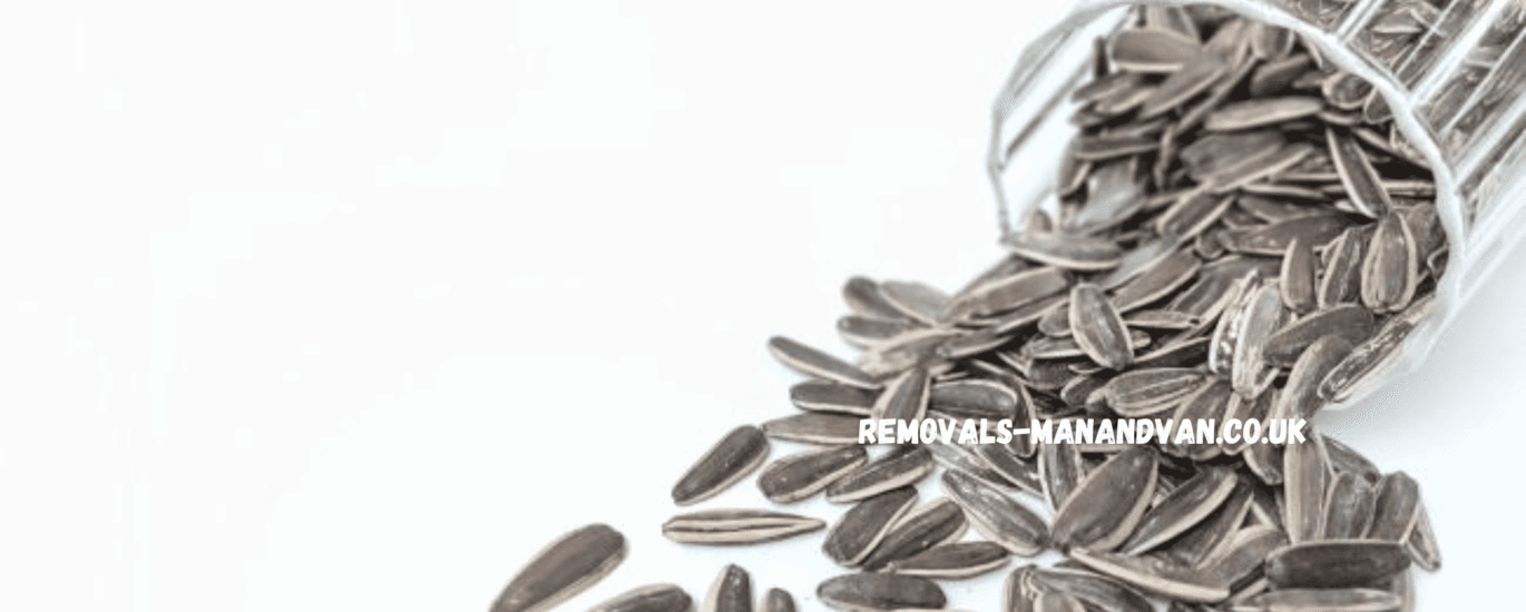 removals-manandvan.co.uk