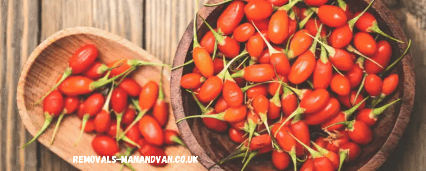 removals-manandvan.co.uk