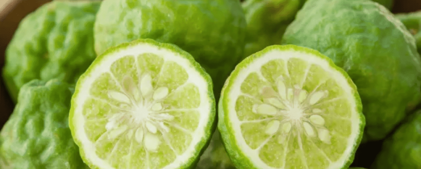 removals-manandvan.co.uk