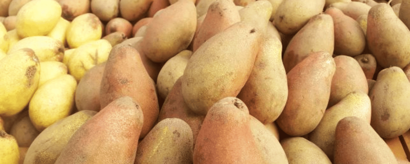 removals-manandvan.co.uk