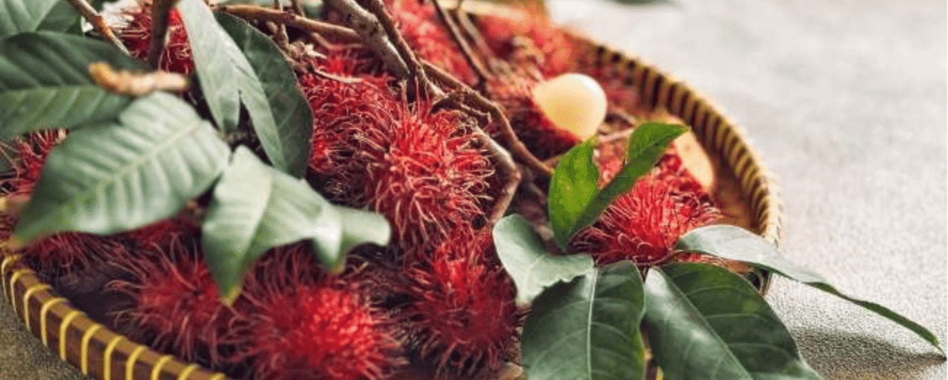 removals-manandvan.co.uk